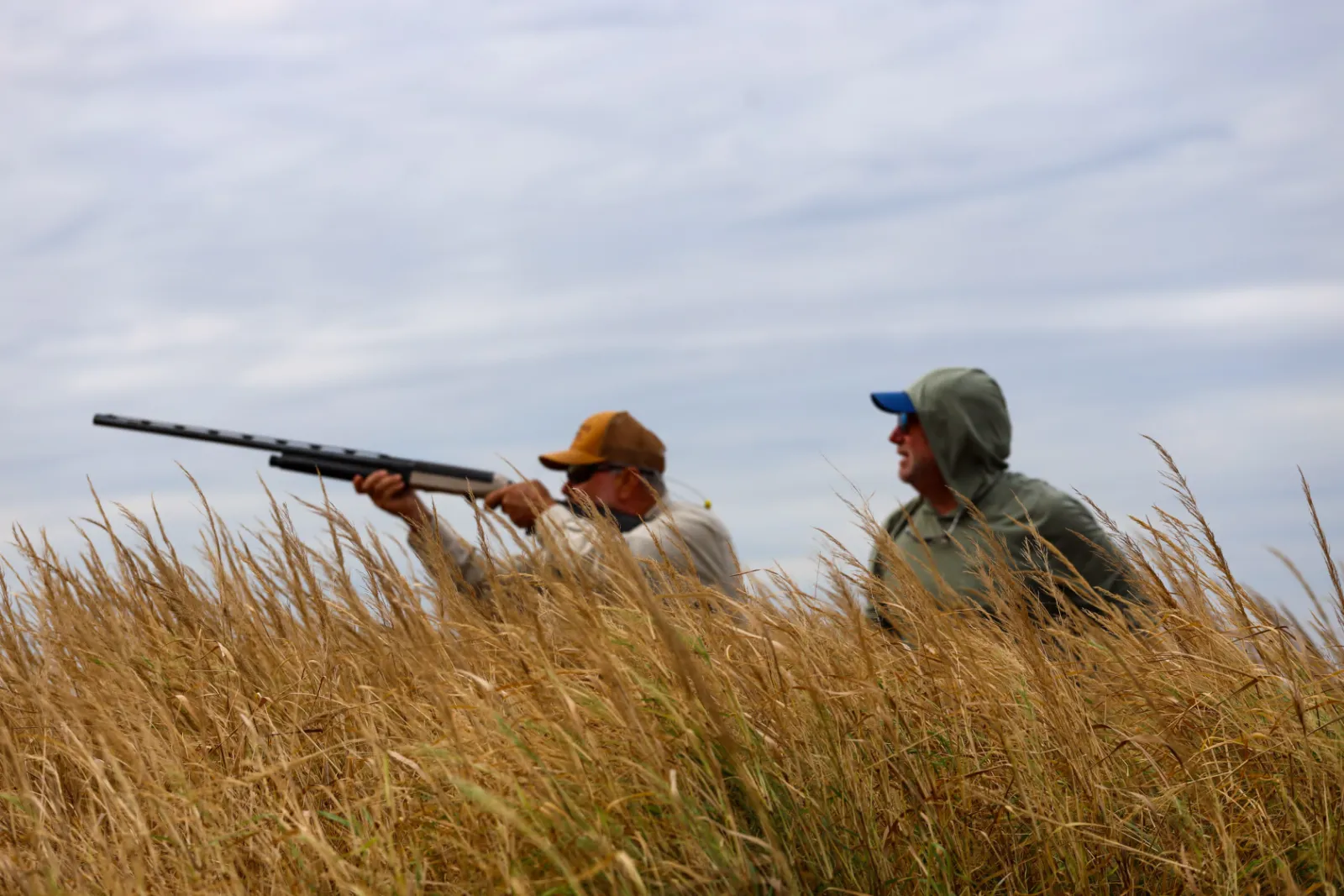 Friends in the field