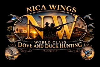 Nica Wings